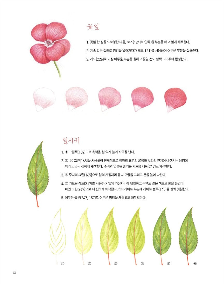 Beautiful Flower Coloring Book - Korean Botanical Art Coloring Book