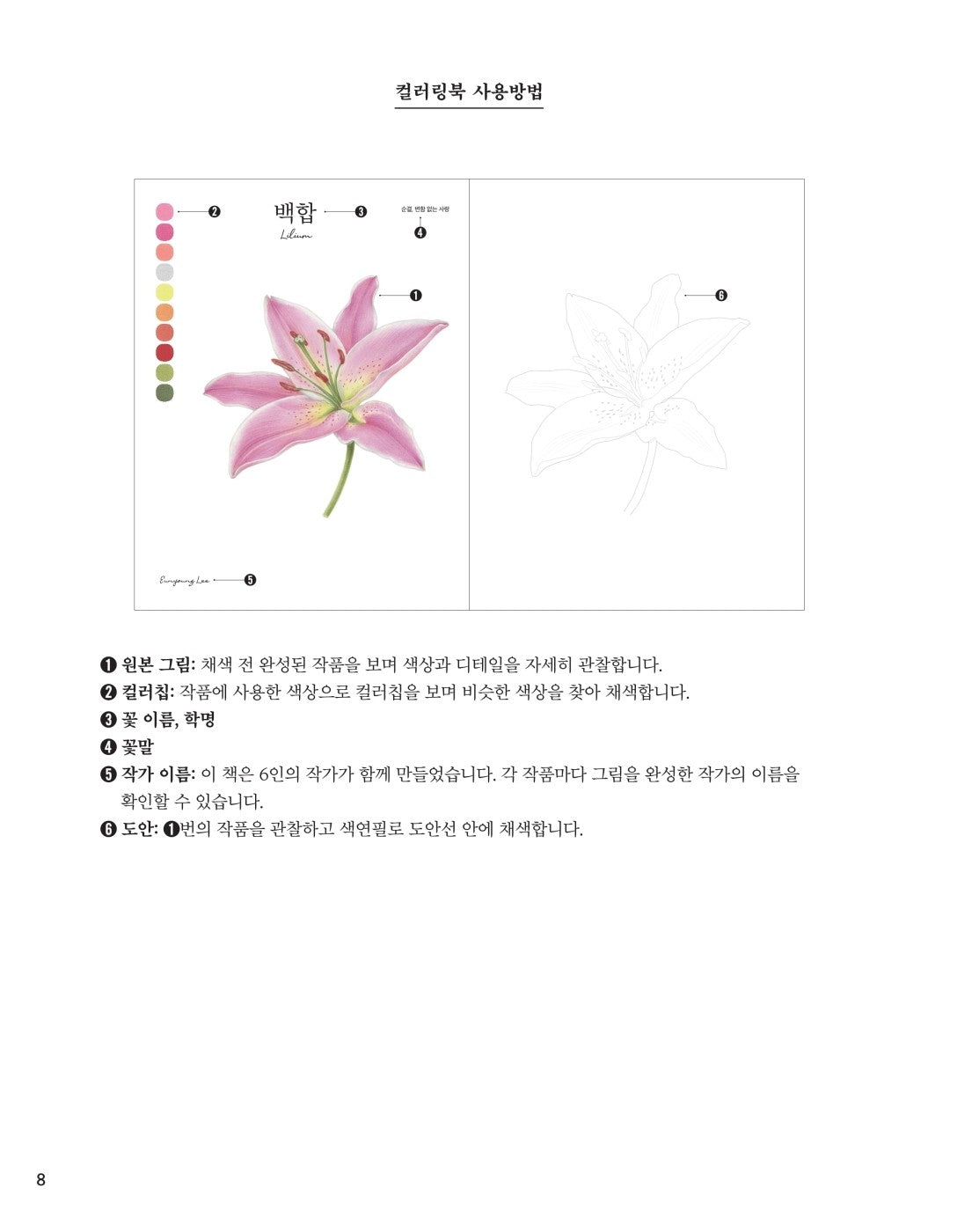 My Flower Painting Colored Pencil Coloring Book - Botanical art Korean Coloring