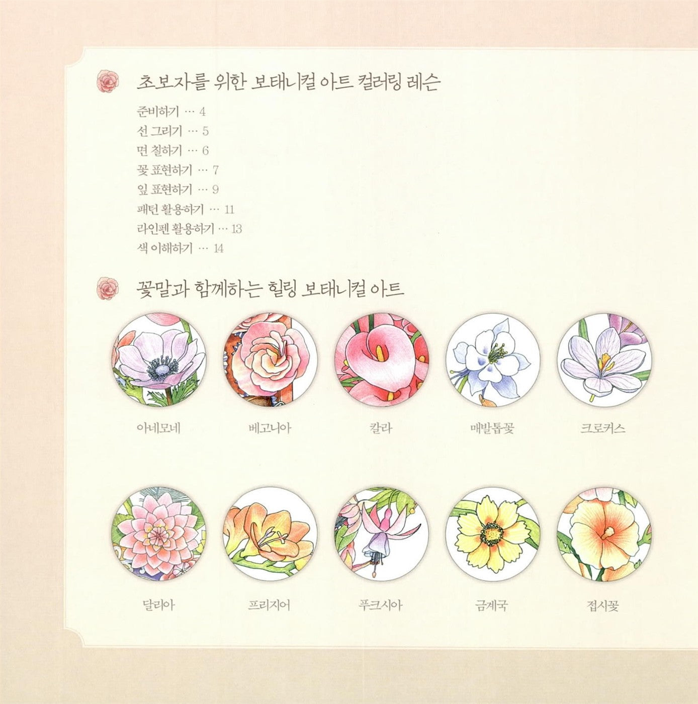 Healing Botanical Art Flowers / Korean Coloring Book