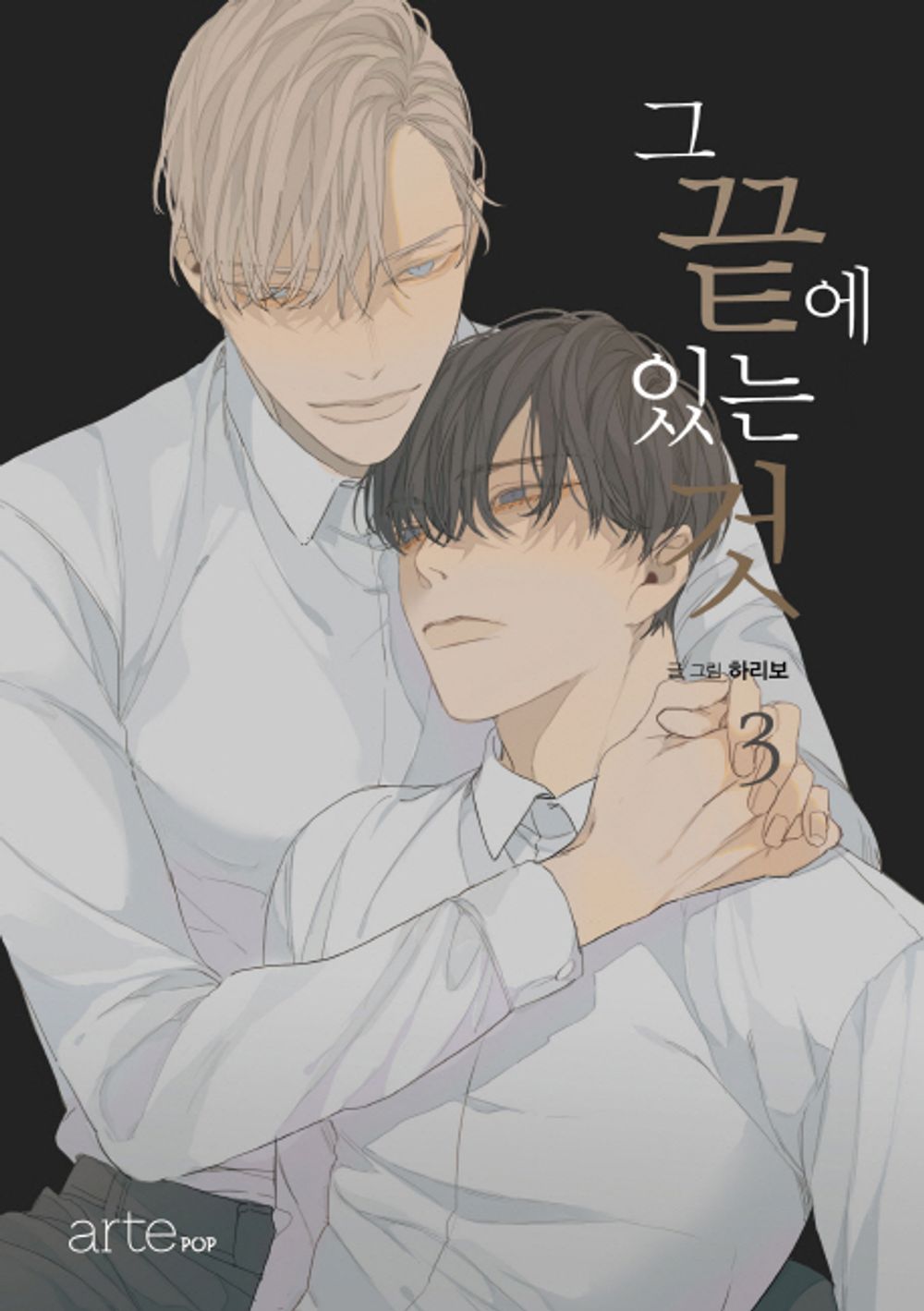 At the End of the Road Vol 3 Korean Webtoon Book Manhwa Comics Manga Naver BL