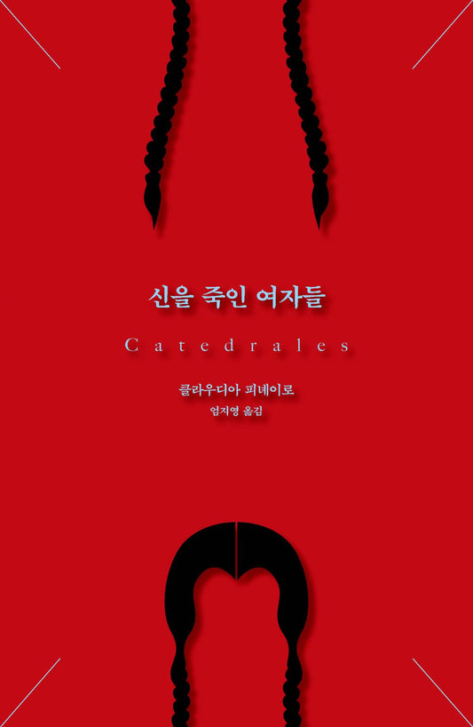 Catedrales / Claudia Pineiro / Korean book