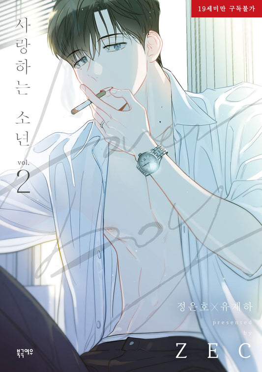 Lover Boy (ZEC) Dear Boy Vol 2 Korean Webtoon Book Manhwa Comics Manga Tapas BL