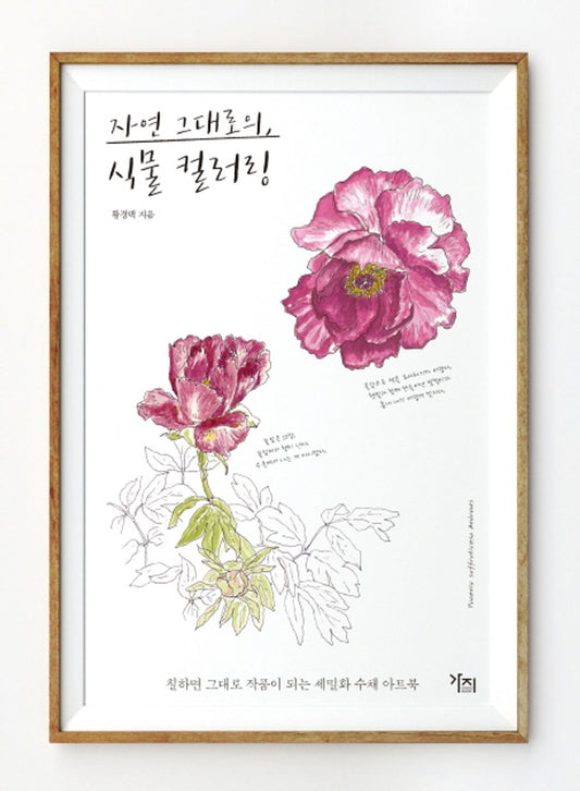 Botanical Watercolor Coloring - Korean Guide