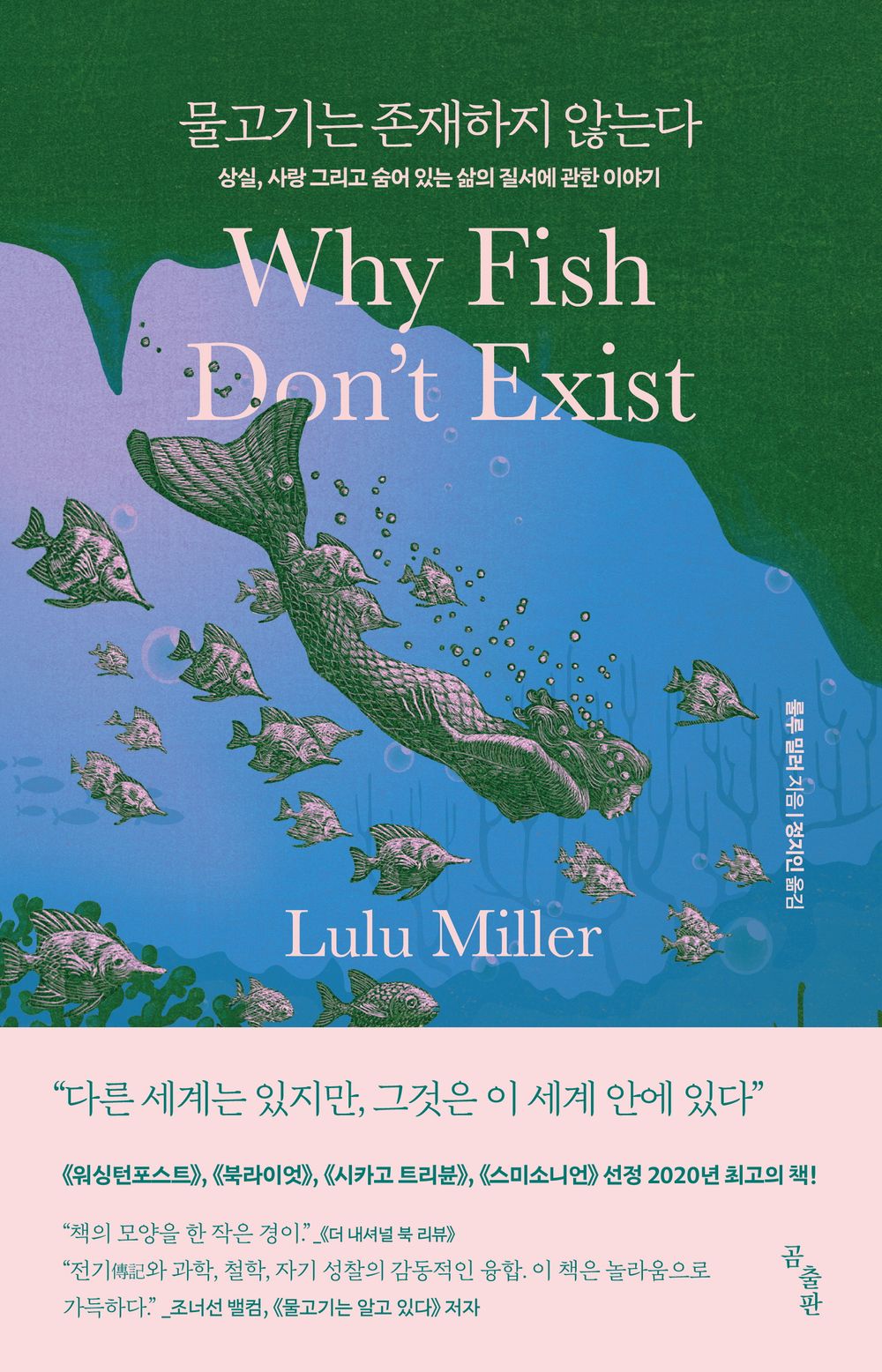 Why Fish Don't Exist by Lulu Miller Korean Book Essay