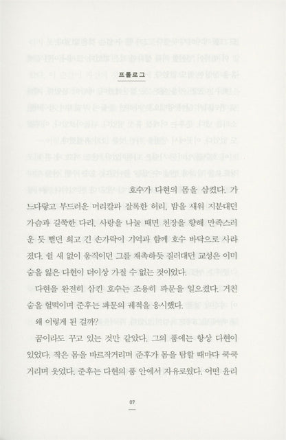 Flamingo's Seat Korean by Jeong Hae-yeon