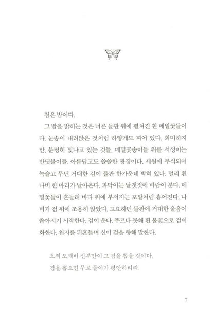 Goblin: The Lonely and Great God, novel, Korean (Vol 1, 2) - Kim Eunsuk, 도깨비 소설