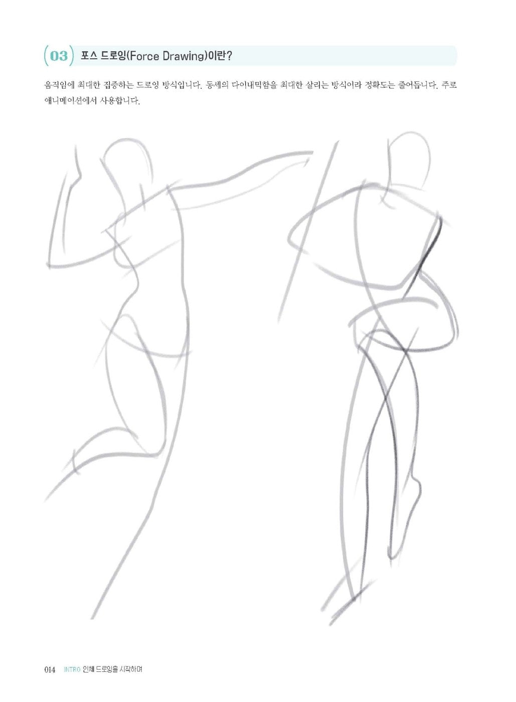 Figure Drawing & Anatomy Class by SAPPI Korean Guide Book