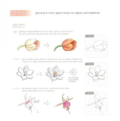 Healing Botanical Art Flowers / Korean Coloring Book