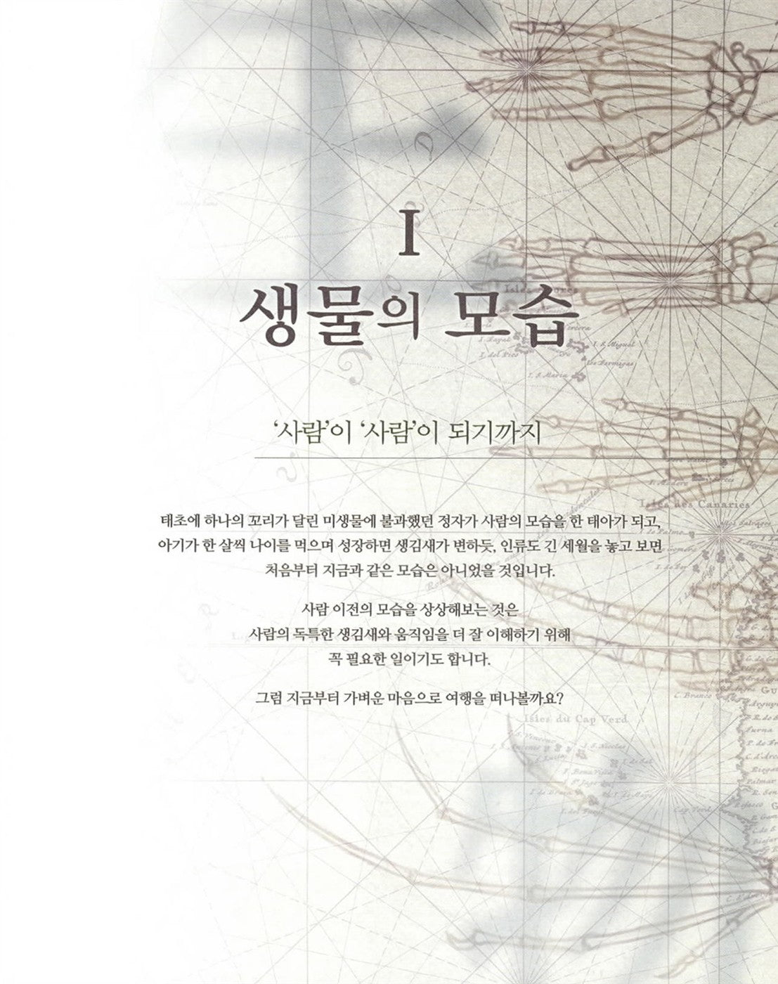 Stonehouse’s Anatomy Note Korean Book by Seok Jeonghyeon