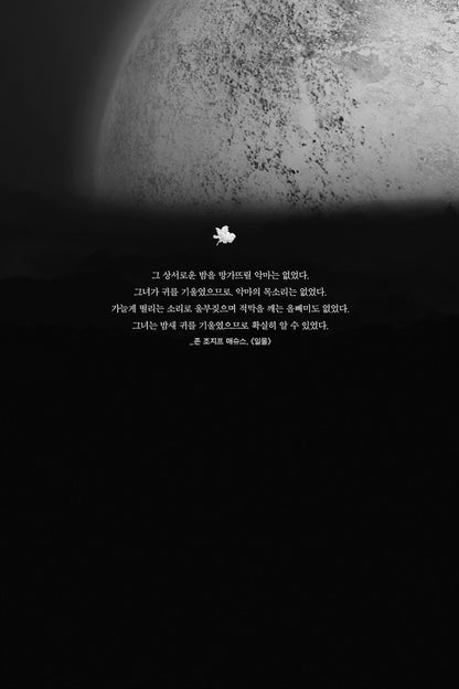 Killers of the Flower Moon by David Grann (Korean)