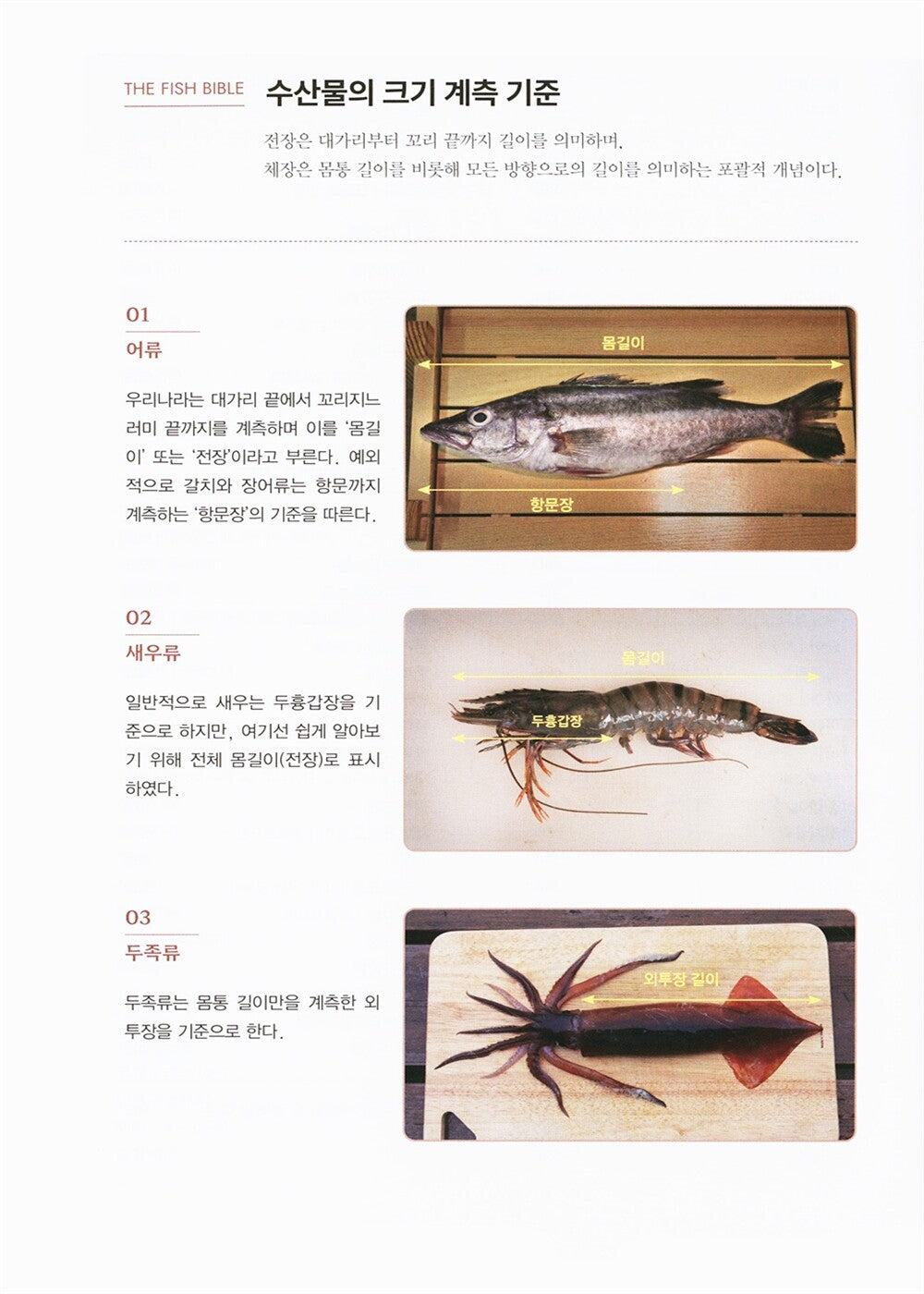 Fish bible (Korean book)