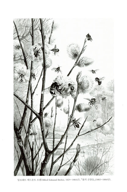 Half-Earth by Edward O Wilson, Korean Books, Ecology, Our Planet’s Fight for Life