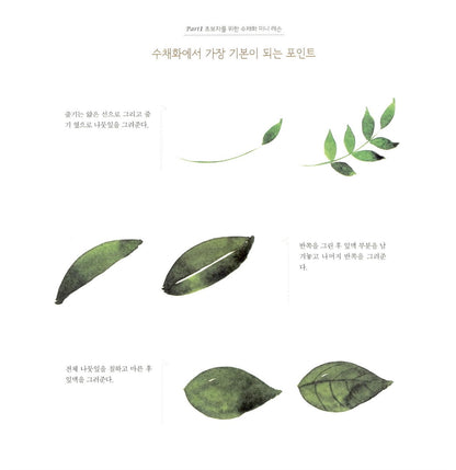 Flower Watercolor Coloring Book Anti Stress Book Korean Book