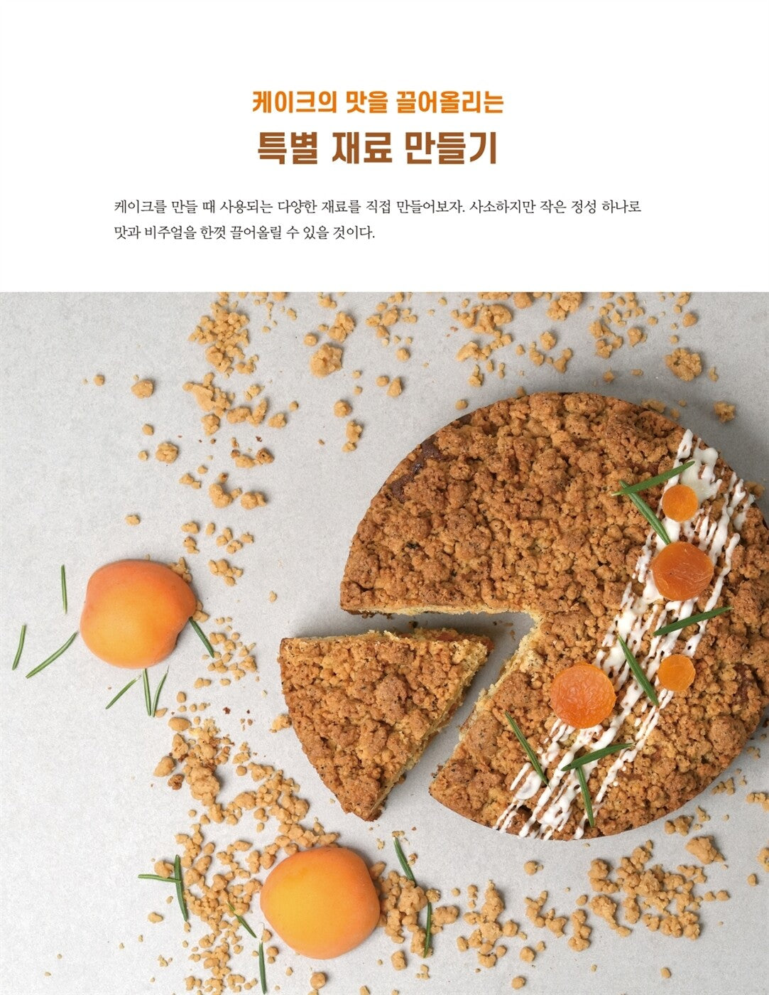 Sugar Lane Cake Class - Cake Recipe from Cafe Owners to Beginners, Korean