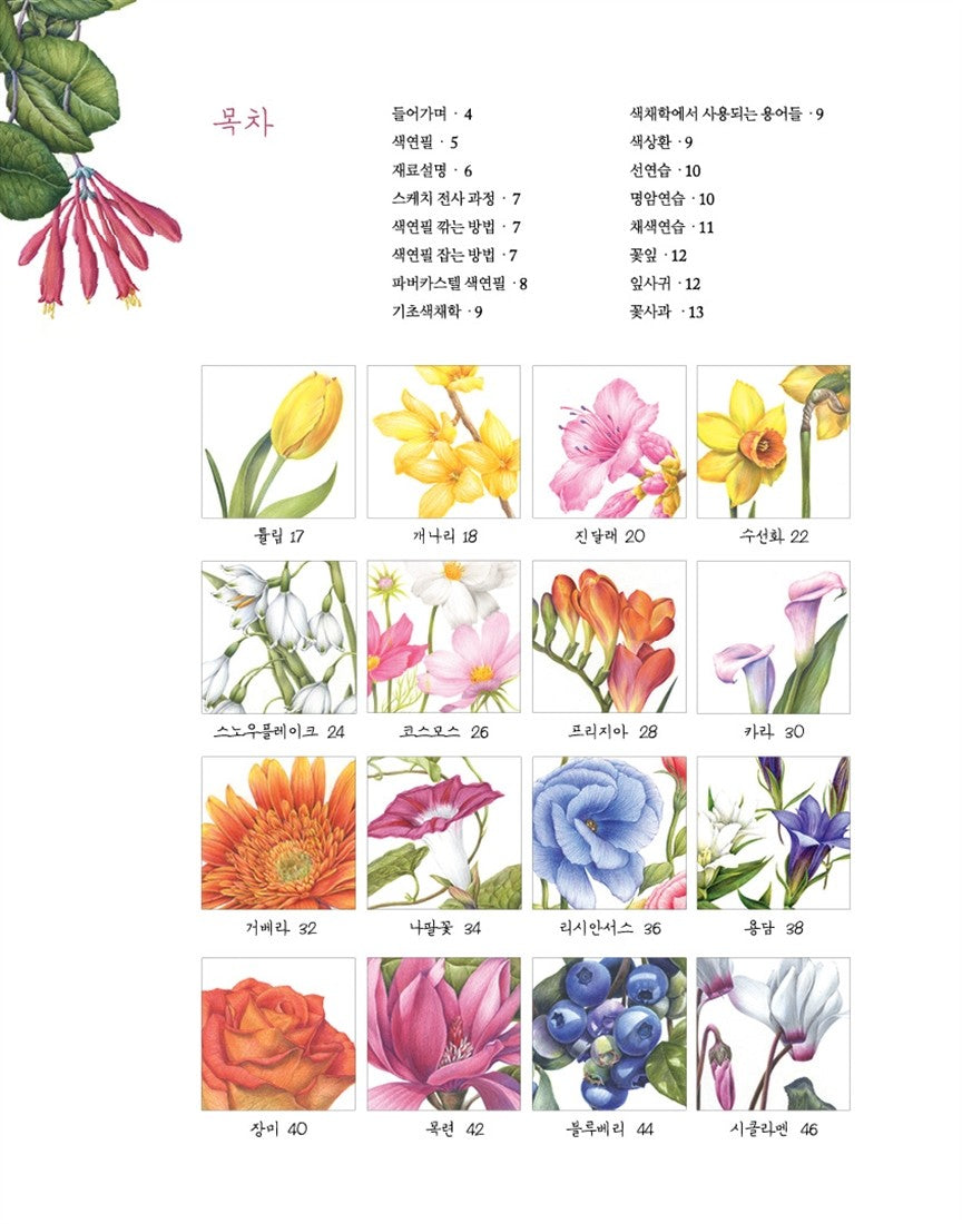 Beautiful Flower Coloring Book - Korean Botanical Art Coloring Book