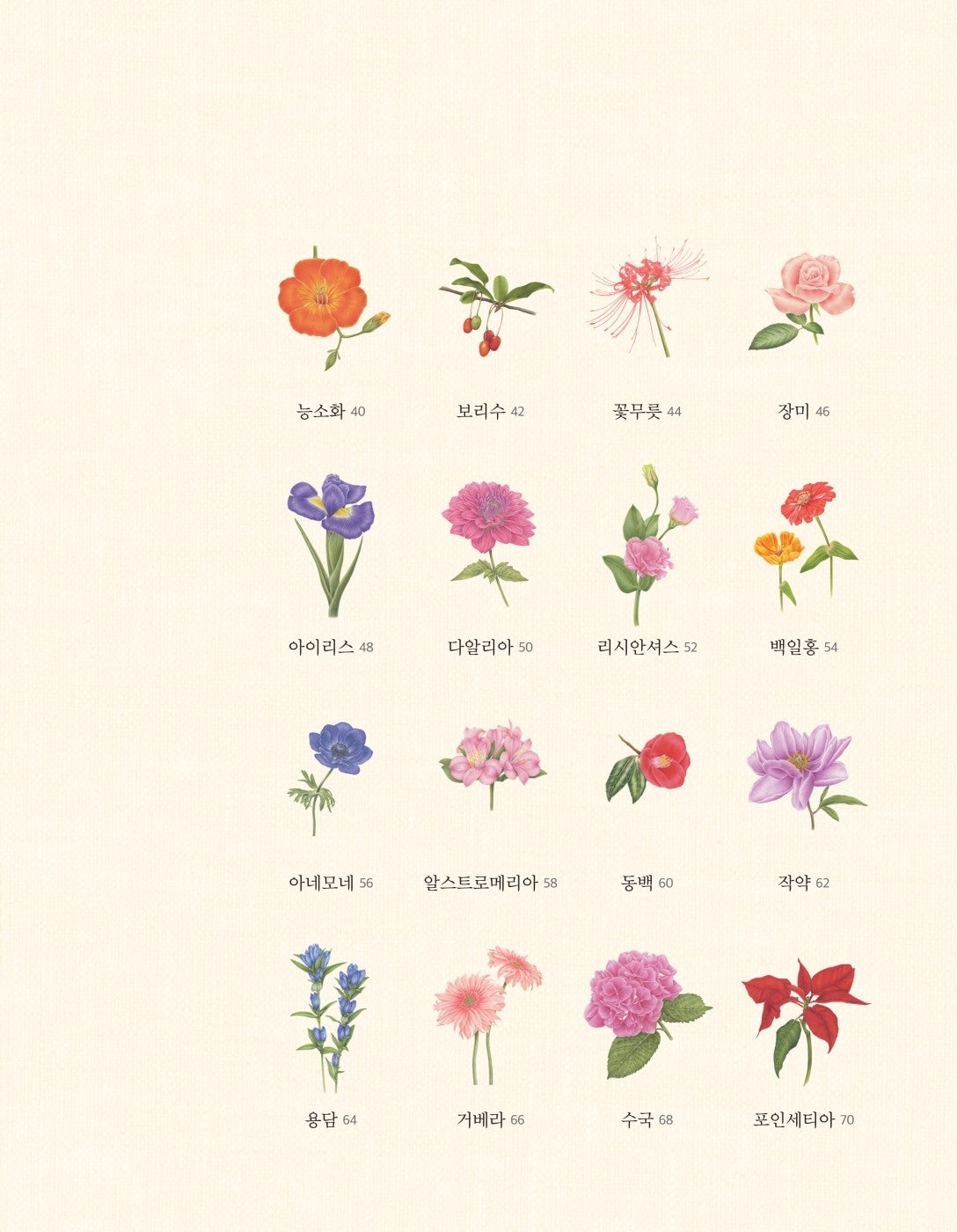 My Flower Painting Colored Pencil Coloring Book - Botanical art Korean Coloring