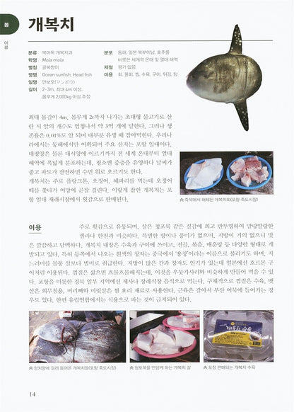 Fish bible (Korean book)